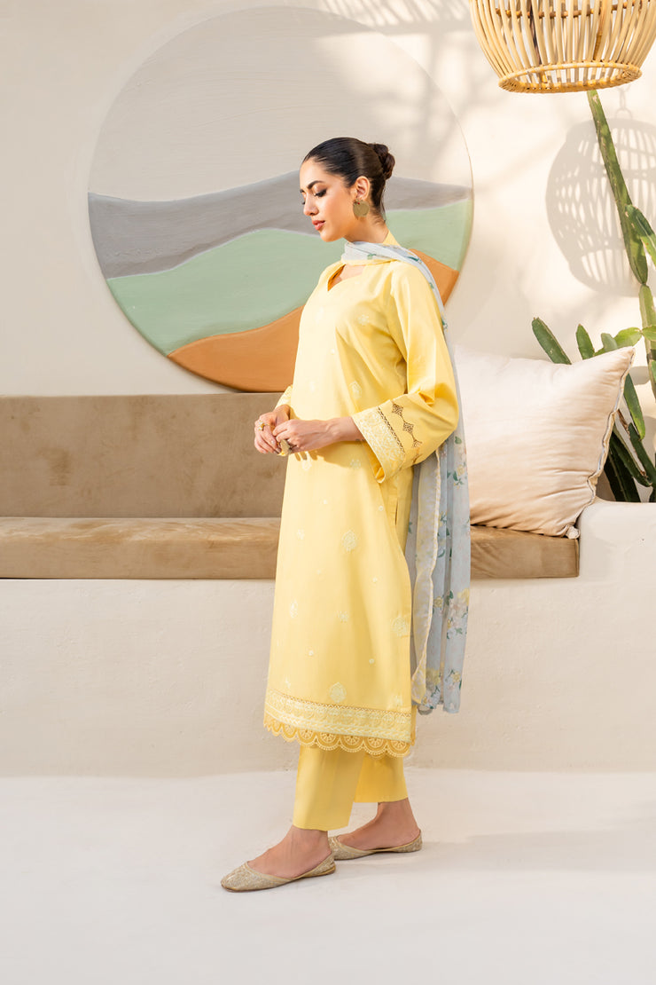 3 Piece - Embroidered Lawn Suit - Maane-meer