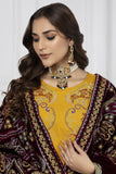 Embroidered – Dhanak – D05